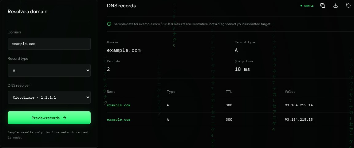 DNS lookup input settings and example results in SiteTrace