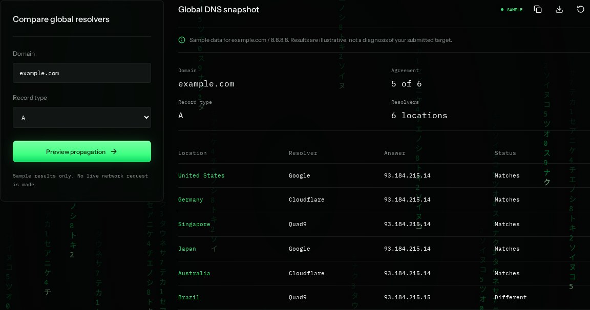 DNS propagation input settings and example results in SiteTrace